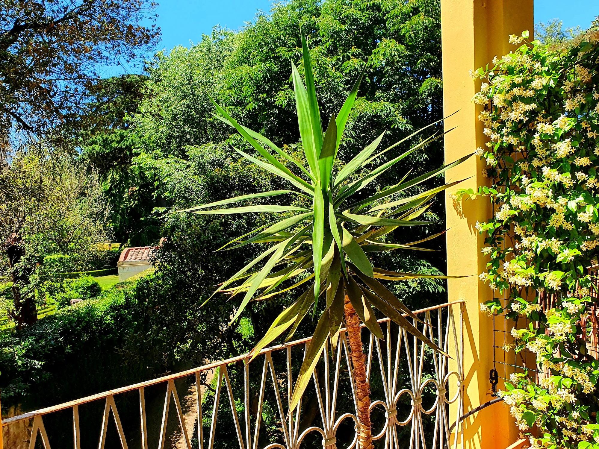 Hotel Annalena Firenze Bagian luar foto